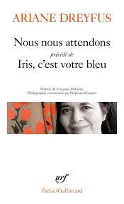 "Nous nous attendons" d'Ariane Dreyfus "Nous nous attendons" d'Ariane Dreyfus