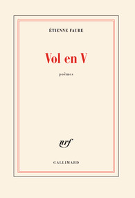 "Vol en V" d'Étienne Faure "Vol en V" d'Étienne Faure